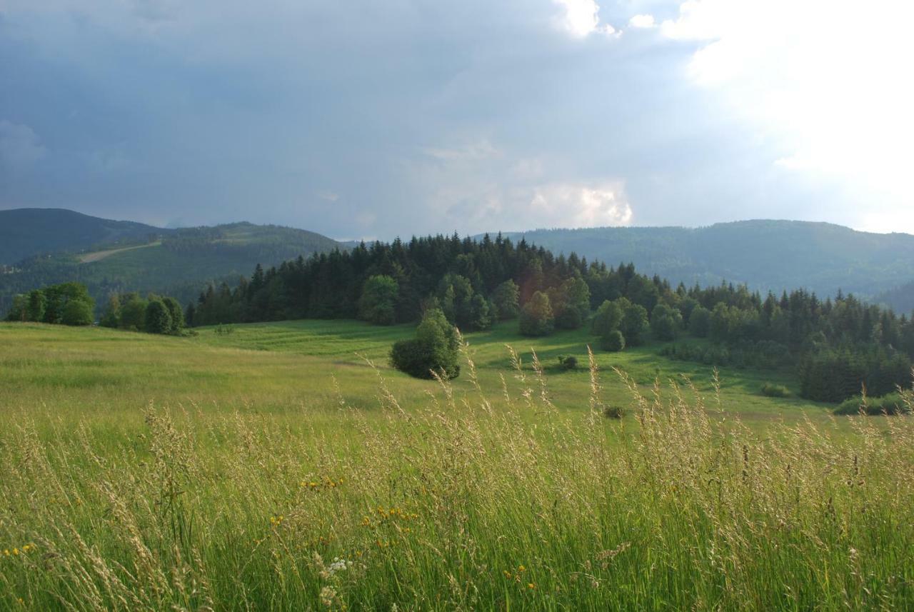 Apartamenty Widokowa Korbielów Εξωτερικό φωτογραφία